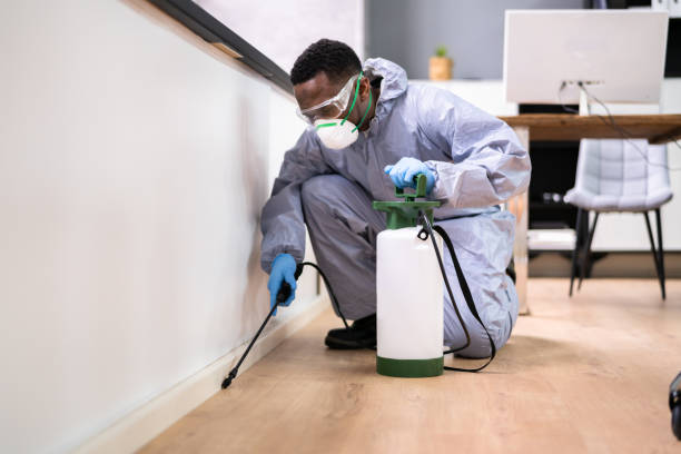 Best Fumigation Services  in Lake Mary Jane, FL